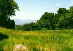 Beauty Ranch Trail, California
