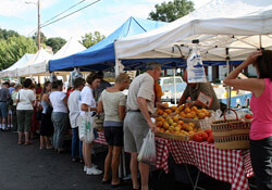 Sonoma Farmers Market, California