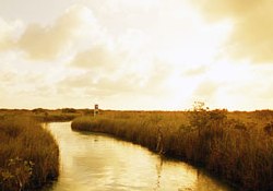 The Sian Ka'an ecological reserve, Quintana Roo