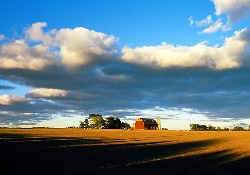 Wisconsin prairie