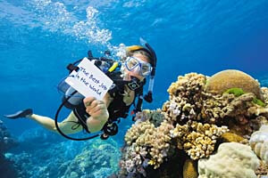 Best job in the world, diving the Great Barrier Reef