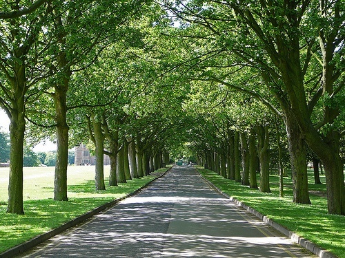 Temple Newsam Park in Leeds - photo by Tim Green aka atoach