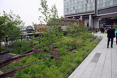 The High Line Park in NYC