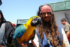 Pirate and parrot