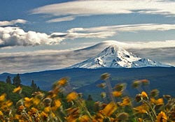 Mt Hood