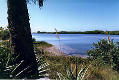 The lagoon on Caladesi Island, Florida