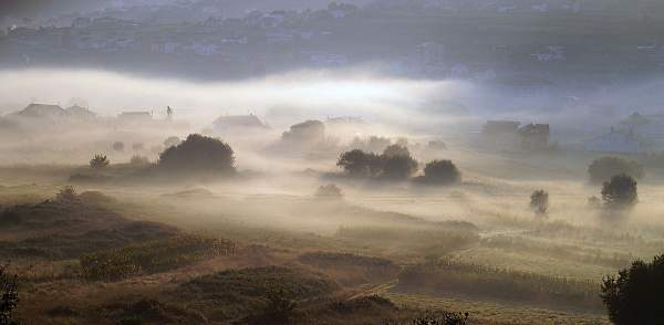 Early morning mist in Galicia