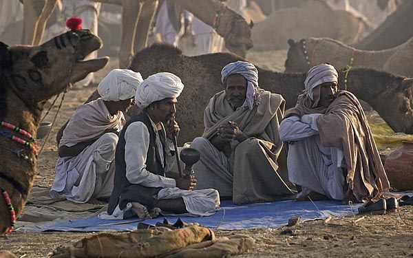 Camel sellers at the Pushkar Fair in Rajastan