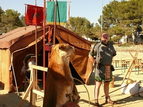 Historical Roman re-enactment with Roman soldier outside a tent with a bear skin cape