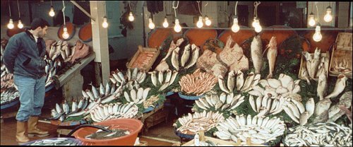 A fishmonger's stand near the water in Sultanamet.