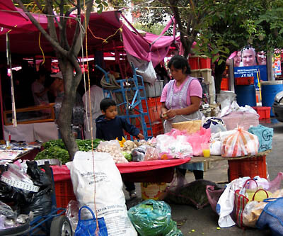 Candid picture at the Mercado Sobre Ruedas, La Condesa, Mexico City.