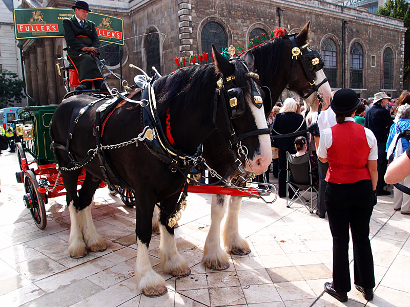 The Fullers Brewery carriage at the Pearly Kings and Queens Costermongers Harvest Festival 2011