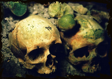 Skulls in the Paris Catacombs.