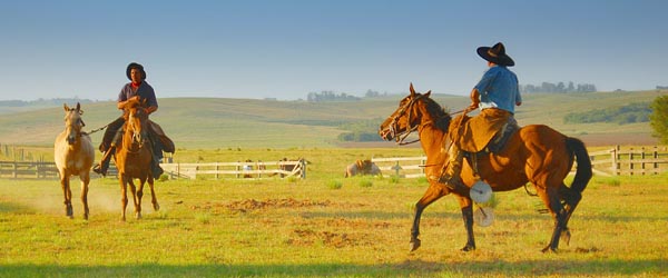 Cowboys in the Brazilian Fronteira