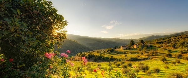 The Tuscany countryside