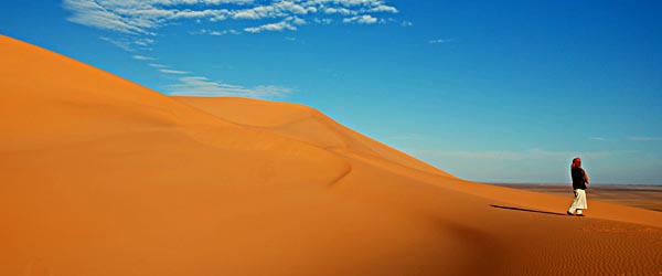 The Libyan desert