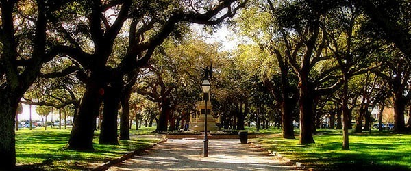 The Charleston Battery Park