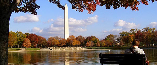 View in Washington D.C.